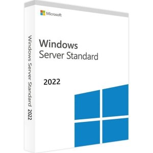 Windows Server 2022 Standard license key-Fast Email Delivery